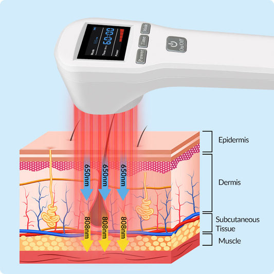 Cold Lase Device: Low-Level Laser Tool For Dogs, Horses